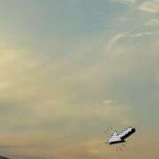 ヒメ日記 2025/11/08 17:31 投稿 みほ 石巻 奥様食堂