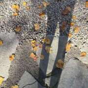 ヒメ日記 2025/11/17 11:01 投稿 みほ 石巻 奥様食堂