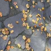 ヒメ日記 2025/11/18 08:41 投稿 みほ 石巻 奥様食堂