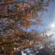 ヒメ日記 2025/11/20 06:31 投稿 みほ 石巻 奥様食堂