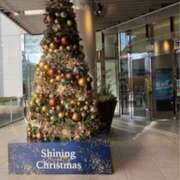 ヒメ日記 2025/11/21 06:41 投稿 みほ 石巻 奥様食堂