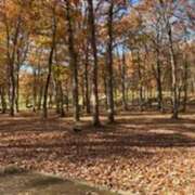 ヒメ日記 2025/11/23 13:31 投稿 みほ 石巻 奥様食堂