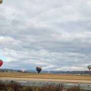 ヒメ日記 2025/11/24 07:01 投稿 みほ 石巻 奥様食堂