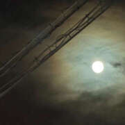 ヒメ日記 2025/12/05 06:41 投稿 みほ 石巻 奥様食堂