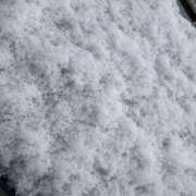 ヒメ日記 2025/12/12 06:41 投稿 みほ 石巻 奥様食堂