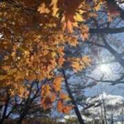 みほ また 石巻 奥様食堂