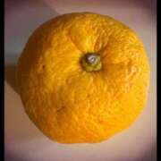 ヒメ日記 2025/12/23 07:11 投稿 みほ 石巻 奥様食堂