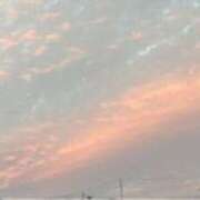 ヒメ日記 2025/12/28 08:01 投稿 みほ 石巻 奥様食堂