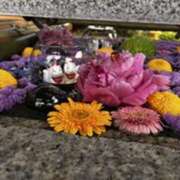 ヒメ日記 2026/01/03 04:31 投稿 みほ 石巻 奥様食堂