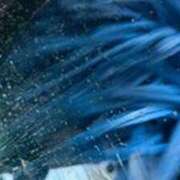 ヒメ日記 2026/01/13 11:51 投稿 みほ 石巻 奥様食堂