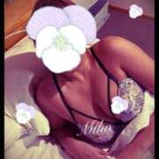 ヒメ日記 2026/01/22 07:01 投稿 みほ 石巻 奥様食堂