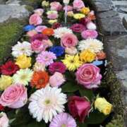 ヒメ日記 2026/02/08 18:01 投稿 みほ 石巻 奥様食堂