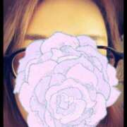 ヒメ日記 2026/03/08 08:21 投稿 みほ 石巻 奥様食堂