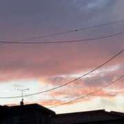 ヒメ日記 2026/03/09 06:31 投稿 みほ 石巻 奥様食堂