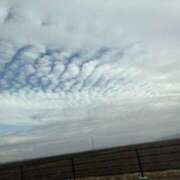 ヒメ日記 2026/03/25 06:41 投稿 みほ 石巻 奥様食堂