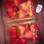 ヒメ日記 2026/03/26 06:41 投稿 みほ 石巻 奥様食堂