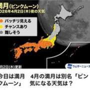 ヒメ日記 2026/04/03 07:51 投稿 みほ 石巻 奥様食堂