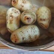 メイ 一番苦手なお仕事 石巻 奥様食堂