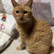 ヒメ日記 2025/02/23 03:01 投稿 ルナ 石巻 奥様食堂