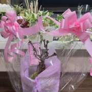 ヒメ日記 2025/03/04 02:21 投稿 ルナ 石巻 奥様食堂