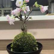 ヒメ日記 2025/03/14 02:51 投稿 ルナ 石巻 奥様食堂