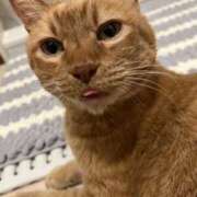 ヒメ日記 2025/03/20 02:41 投稿 ルナ 石巻 奥様食堂