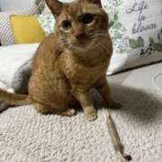 ヒメ日記 2025/05/14 01:11 投稿 ルナ 石巻 奥様食堂