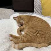 ヒメ日記 2025/06/16 03:01 投稿 ルナ 石巻 奥様食堂