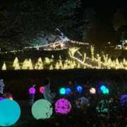 ヒメ日記 2025/10/05 01:21 投稿 ルナ 石巻 奥様食堂