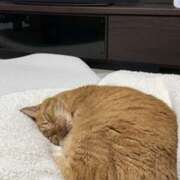 ヒメ日記 2025/11/26 02:01 投稿 ルナ 石巻 奥様食堂