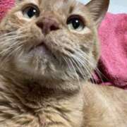 ヒメ日記 2026/02/16 00:31 投稿 ルナ 石巻 奥様食堂