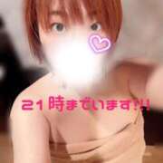 しょう 突然ですが……… BAD COMPANY（バッドカンパニー）