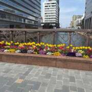 いと【未経験の可愛らしさ】 4月🌸 LIPS(リップス)