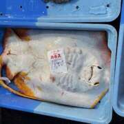 ヒメ日記 2025/07/19 07:30 投稿 ゆあ アート姫