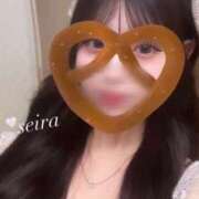 せいら せいら（スピード日本橋店） スピード日本橋店