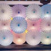 ヒメ日記 2025/10/05 17:13 投稿 つむぎ 僕らのぽっちゃリーノin野田