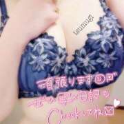 ヒメ日記 2026/07/30 22:12 投稿 つむぎ 僕らのぽっちゃリーノin野田
