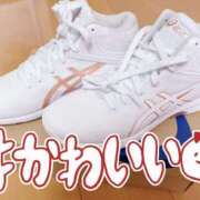 ヒメ日記 2025/07/14 09:31 投稿 つむぎ 僕らのぽっちゃリーノin大宮