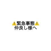 ヒメ日記 2023/08/02 21:19 投稿 Kaho Hiiragi ELEGANT－エレガント－