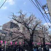 ヒメ日記 2026/03/29 12:05 投稿 Kaho Hiiragi ELEGANT－エレガント－