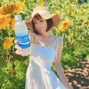 ヒメ日記 2026/08/12 17:03 投稿 Kaho Hiiragi ELEGANT－エレガント－