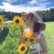 ヒメ日記 2026/08/13 17:02 投稿 Kaho Hiiragi ELEGANT－エレガント－