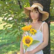 ヒメ日記 2026/09/20 17:04 投稿 Kaho Hiiragi ELEGANT－エレガント－