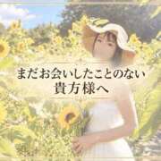 ヒメ日記 2026/10/03 13:24 投稿 Kaho Hiiragi ELEGANT－エレガント－