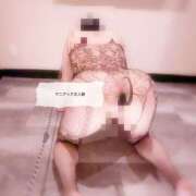 ヒメ日記 2025/07/04 14:33 投稿 ことの女王様 変態プレイ専門店 マニアック女人館 本館