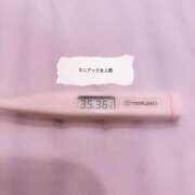 ヒメ日記 2025/07/09 11:55 投稿 ことの女王様 変態プレイ専門店 マニアック女人館 本館