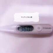 ヒメ日記 2025/07/11 10:17 投稿 ことの女王様 変態プレイ専門店 マニアック女人館 本館