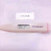 ヒメ日記 2025/07/17 09:20 投稿 ことの女王様 変態プレイ専門店 マニアック女人館 本館