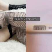 ヒメ日記 2025/09/07 08:57 投稿 ことの女王様 変態プレイ専門店 マニアック女人館 本館