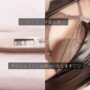 ヒメ日記 2025/09/14 09:47 投稿 ことの女王様 変態プレイ専門店 マニアック女人館 本館